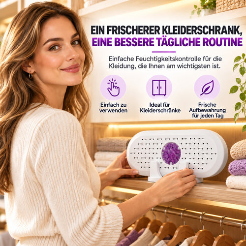 🎄 Weihnachts-Frühbucherangebot: 50 % Rabatt auf den wiederverwendbaren Mini-Luftentfeuchter!