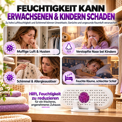 🎄 Weihnachts-Frühbucherangebot: 50 % Rabatt auf den wiederverwendbaren Mini-Luftentfeuchter!