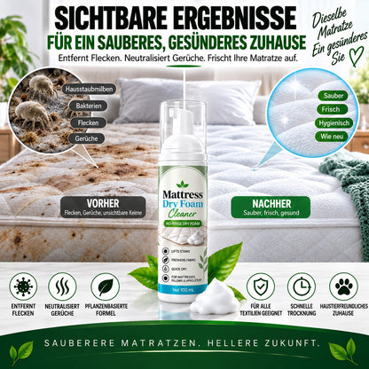 Matratzen-Reinigungsschaum ohne Ausspülen – für Matratzen & Polster