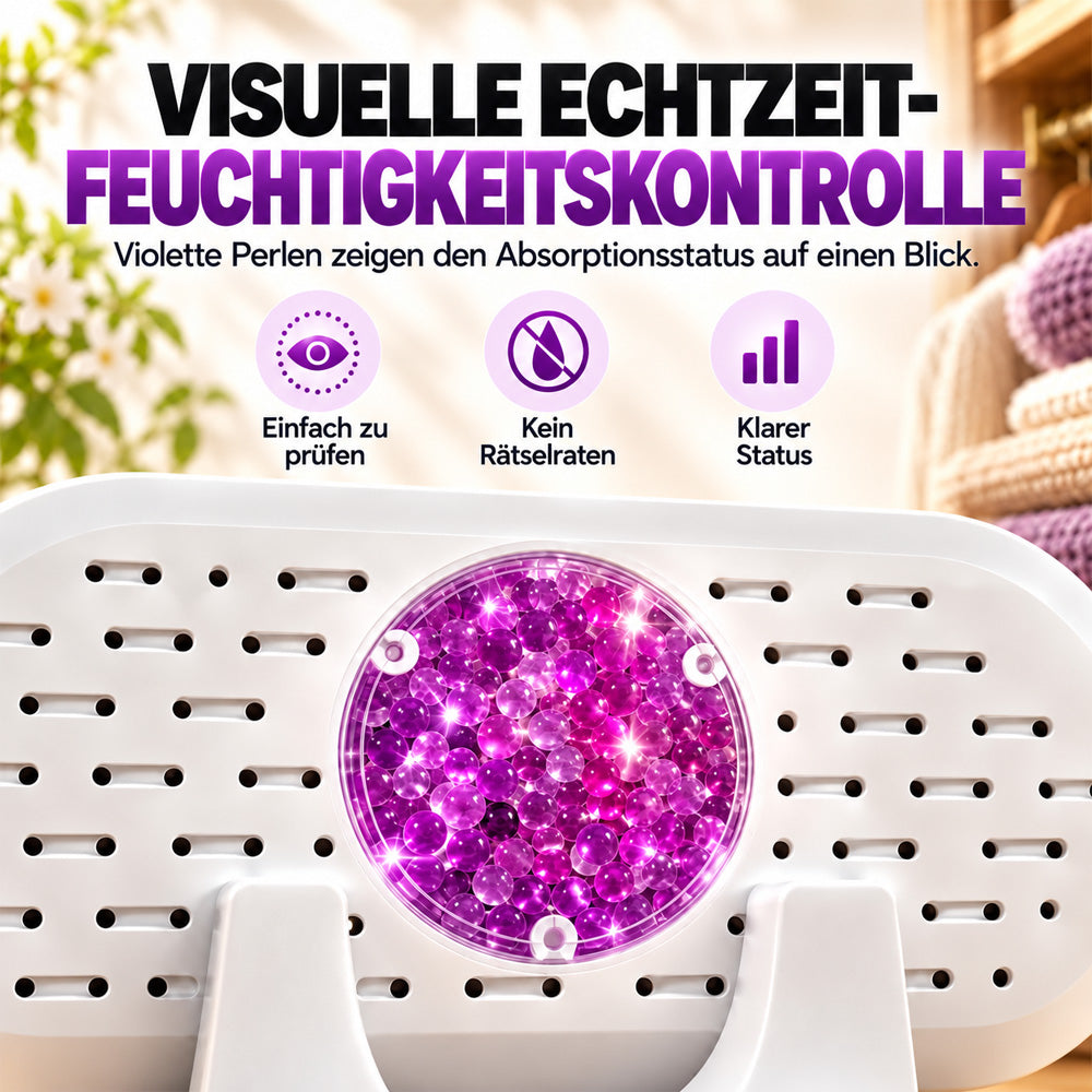 🎄 Weihnachts-Frühbucherangebot: 50 % Rabatt auf den wiederverwendbaren Mini-Luftentfeuchter!
