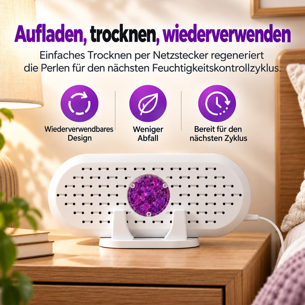 🎄 Weihnachts-Frühbucherangebot: 50 % Rabatt auf den wiederverwendbaren Mini-Luftentfeuchter!