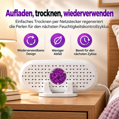 🎄 Weihnachts-Frühbucherangebot: 50 % Rabatt auf den wiederverwendbaren Mini-Luftentfeuchter!