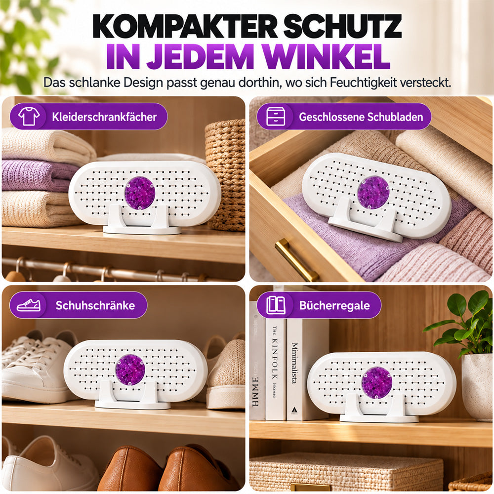 🎄 Weihnachts-Frühbucherangebot: 50 % Rabatt auf den wiederverwendbaren Mini-Luftentfeuchter!