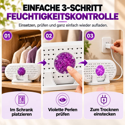 🎄 Weihnachts-Frühbucherangebot: 50 % Rabatt auf den wiederverwendbaren Mini-Luftentfeuchter!