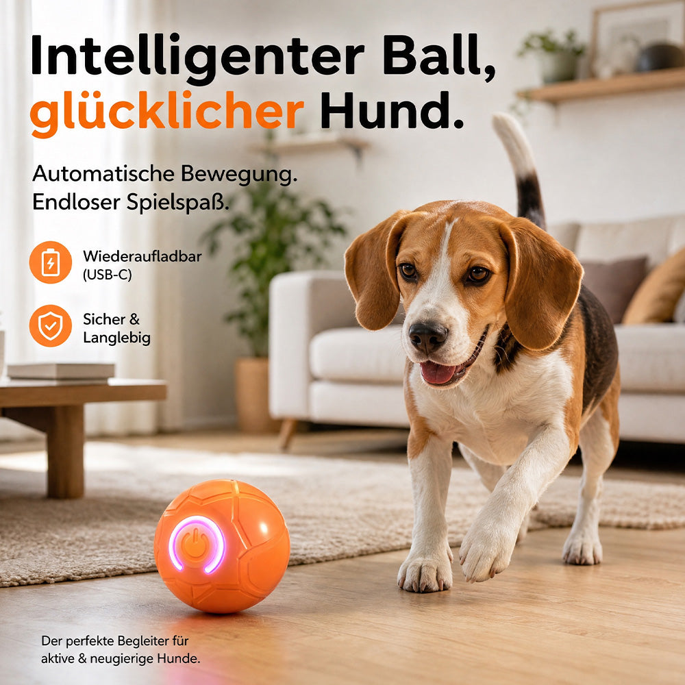 Interaktiver Premium-Spielball für Hunde & Katzen