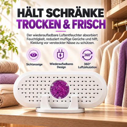 🎄 Weihnachts-Frühbucherangebot: 50 % Rabatt auf den wiederverwendbaren Mini-Luftentfeuchter!