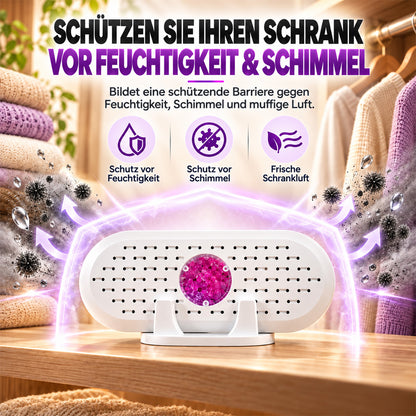 🎄 Weihnachts-Frühbucherangebot: 50 % Rabatt auf den wiederverwendbaren Mini-Luftentfeuchter!