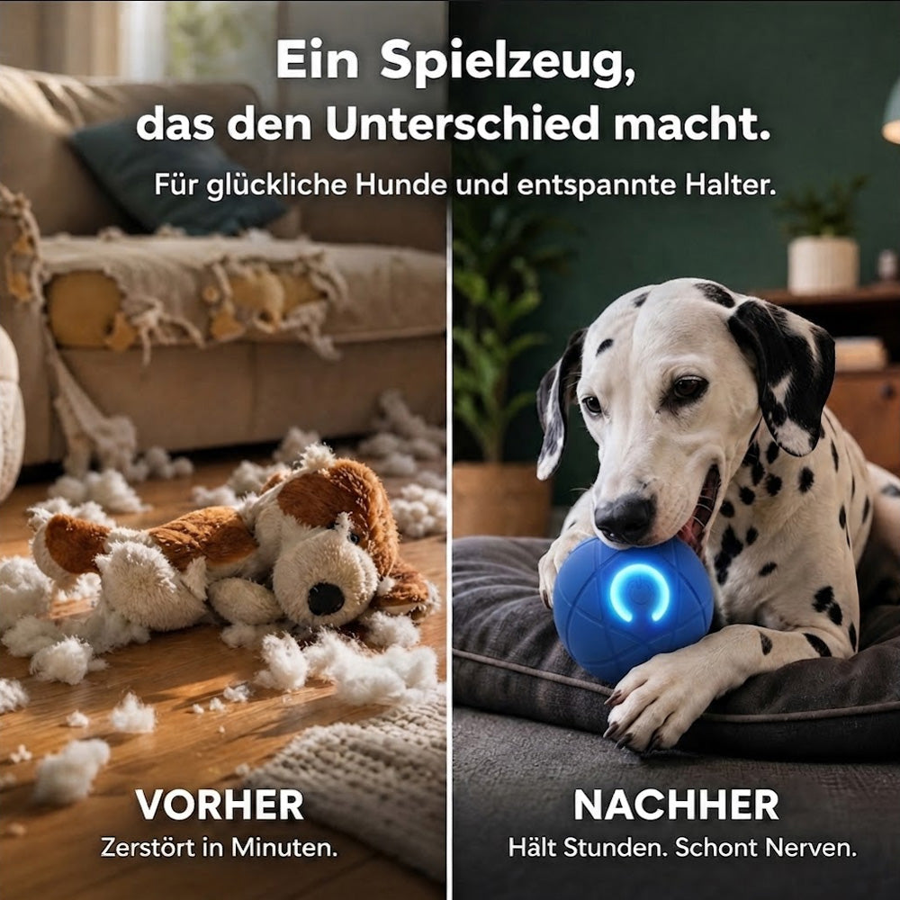 Interaktiver Premium-Spielball für Hunde & Katzen