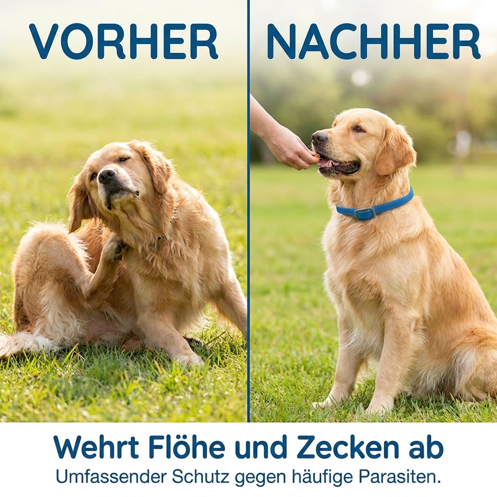 🐈🐕Natürliches Floh- & Zeckenhalsband | Langzeitschutz für Hunde & Katzen