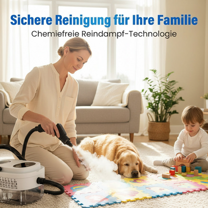 Hochdruck-Dampfreiniger mit LCD-Display✨