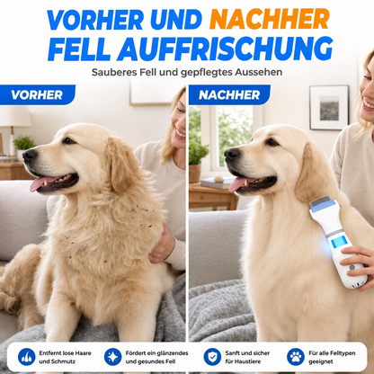 Elektrischer Flohkamm mit Absaugfunktion