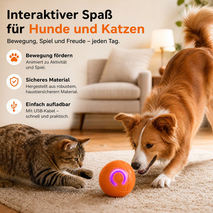 Interaktiver Premium-Spielball für Hunde & Katzen