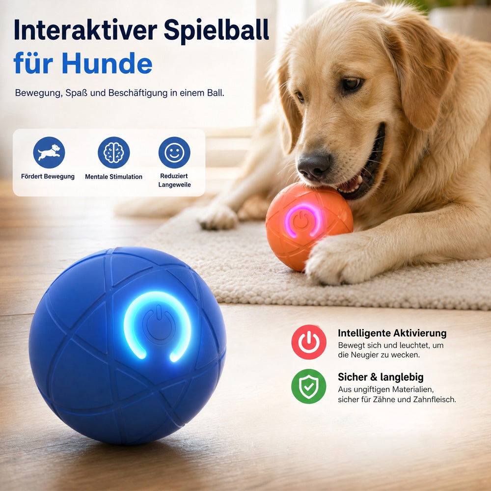 Interaktiver Premium-Spielball für Hunde & Katzen