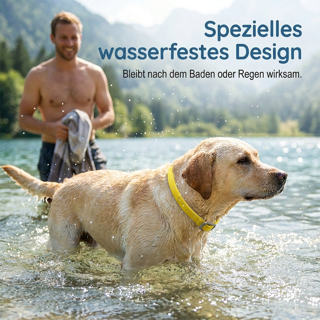 🐈🐕Natürliches Floh- & Zeckenhalsband | Langzeitschutz für Hunde & Katzen