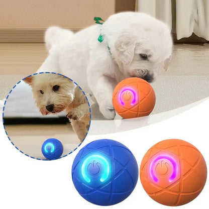 Interaktiver Premium-Spielball für Hunde & Katzen