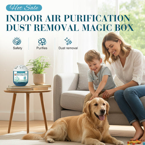 80%off🏆Indoor Luftreinigung Staub Entfernung Magic Box🌿✨ – Sicher für Kinder (Copy) (Copy)