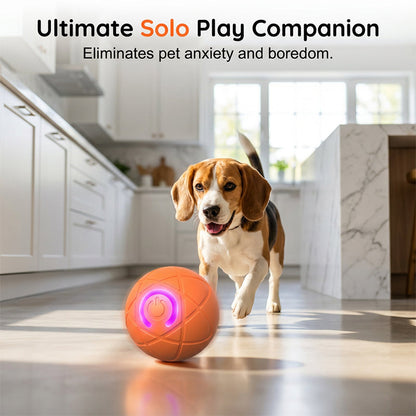 Interaktiver Premium-Spielball für Hunde & Katzen