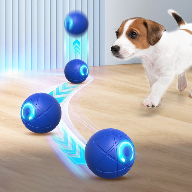 Interaktiver Premium-Spielball für Hunde & Katzen