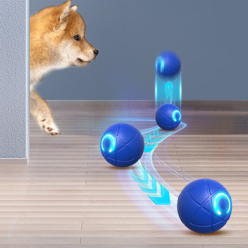 Interaktiver Premium-Spielball für Hunde & Katzen