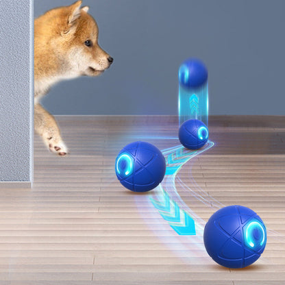 Interaktiver Premium-Spielball für Hunde & Katzen