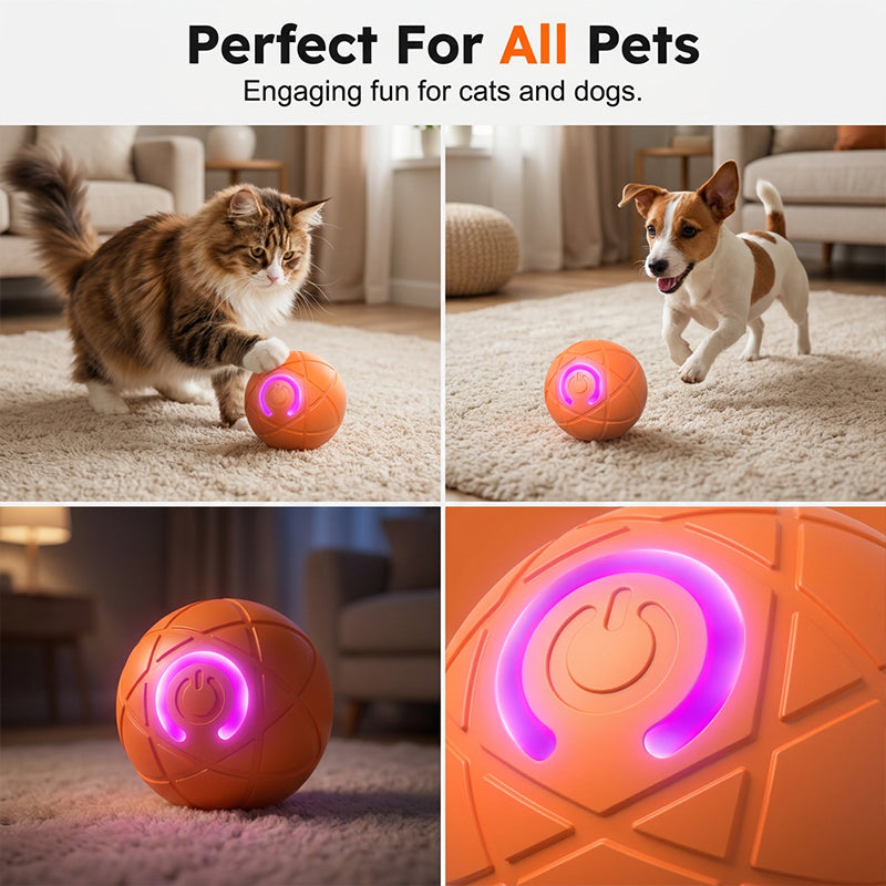 Interaktiver Premium-Spielball für Hunde & Katzen