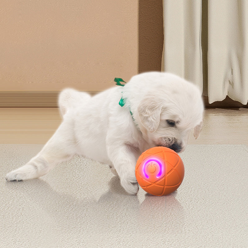 Interaktiver Premium-Spielball für Hunde & Katzen
