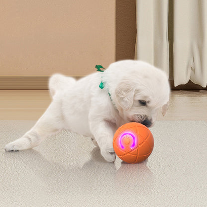 Interaktiver Premium-Spielball für Hunde & Katzen
