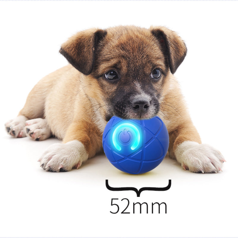 Interaktiver Premium-Spielball für Hunde & Katzen