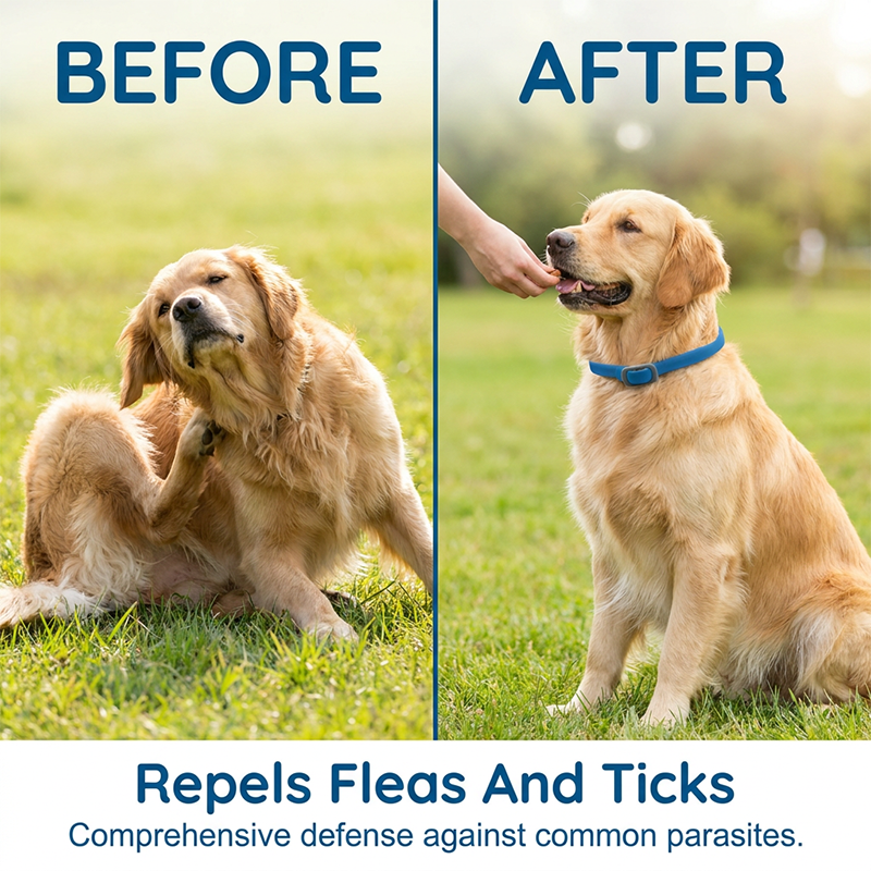 60%off🐕Natural Essential Oil Pet Pest Repellent Collar